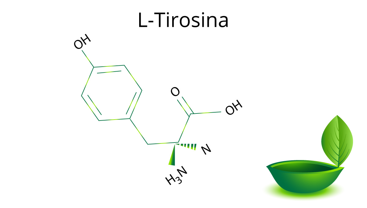 L-Tirosina