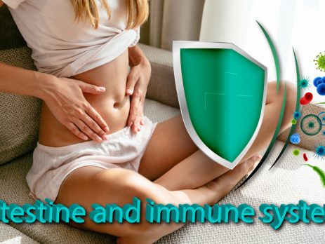 Intestine-and-immune-system