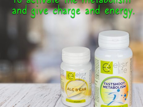 metabolism-and-energy