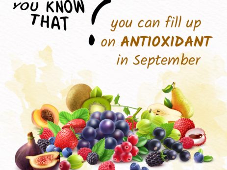 Antioxidant-in-september