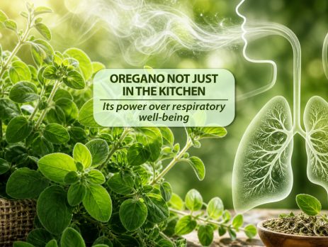 Oregano-and-its-power-over-respiratory-well-being