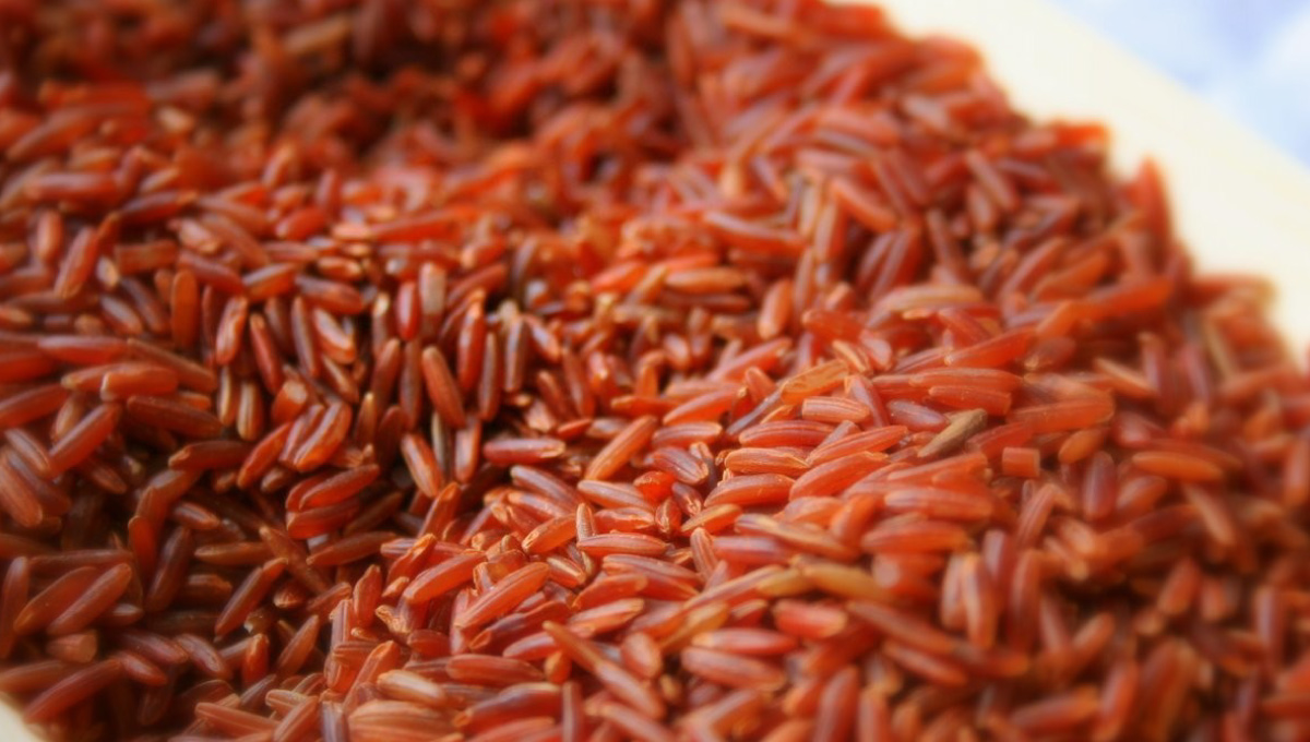 Riso-rosso-fermentato